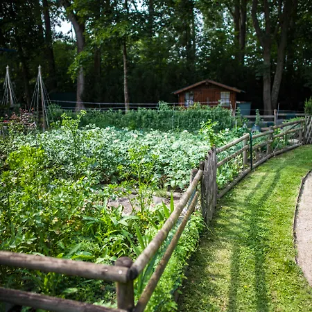 Comfort Garden Lille Tourcoing