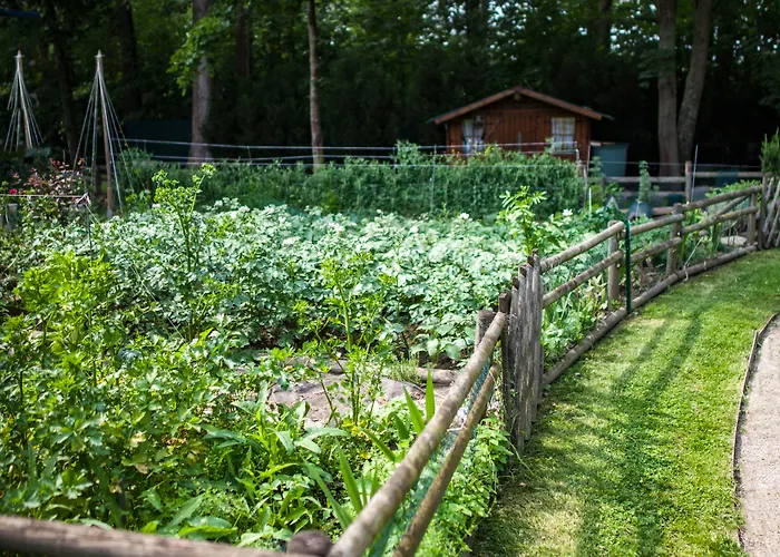 Sure By Western Lille Tourcoing Ex Garden