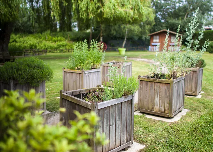 Sure By Western Lille Tourcoing Ex Garden